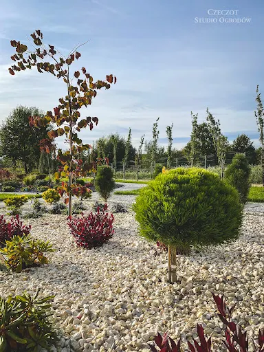 Czeczot Studio Ogrodów